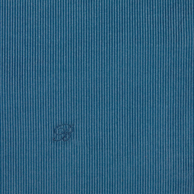 Corduroy Casual Shirt, NILE BLUE, hi-res 5