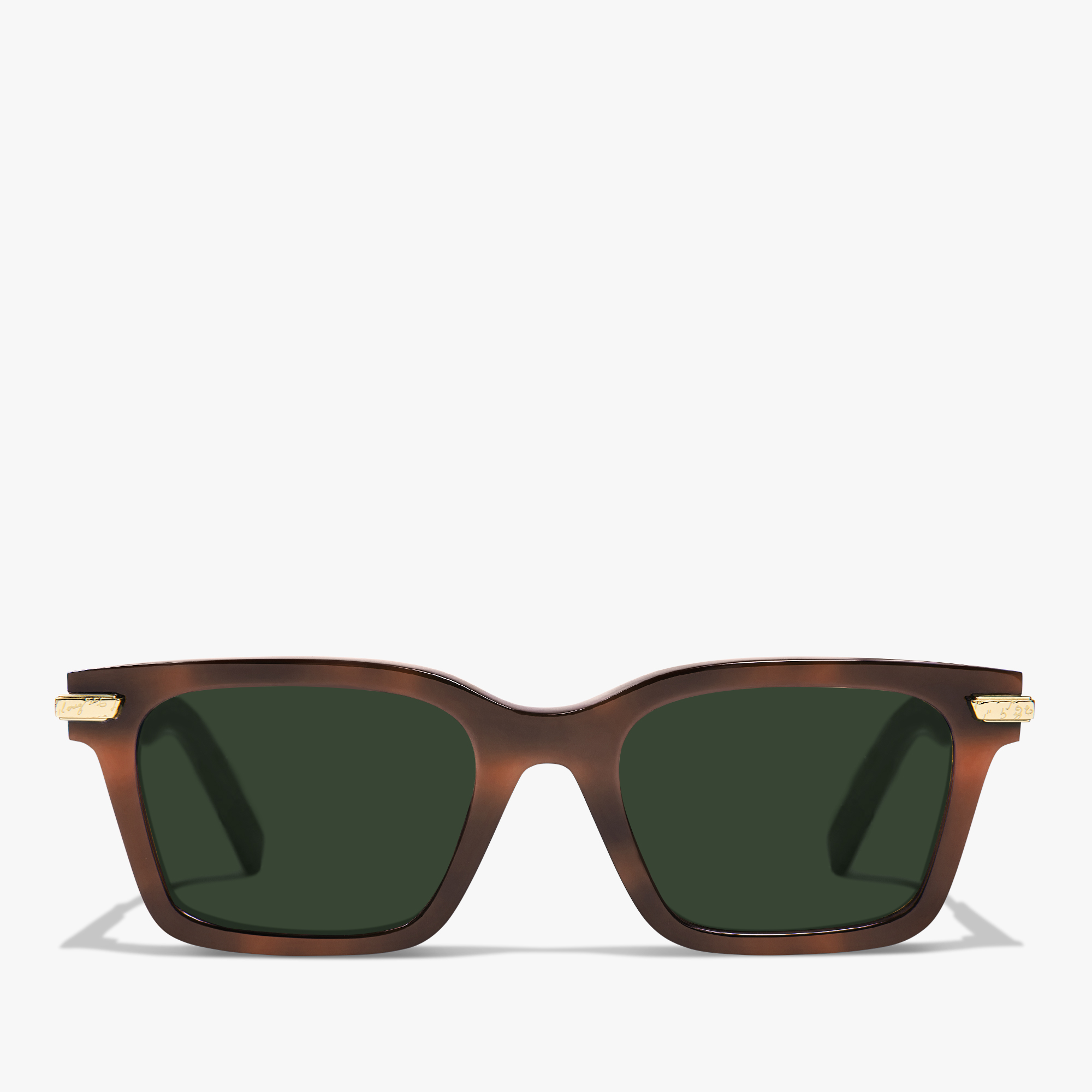 Radiant Acetate Sunglasses, CACAO + GREEN, hi-res