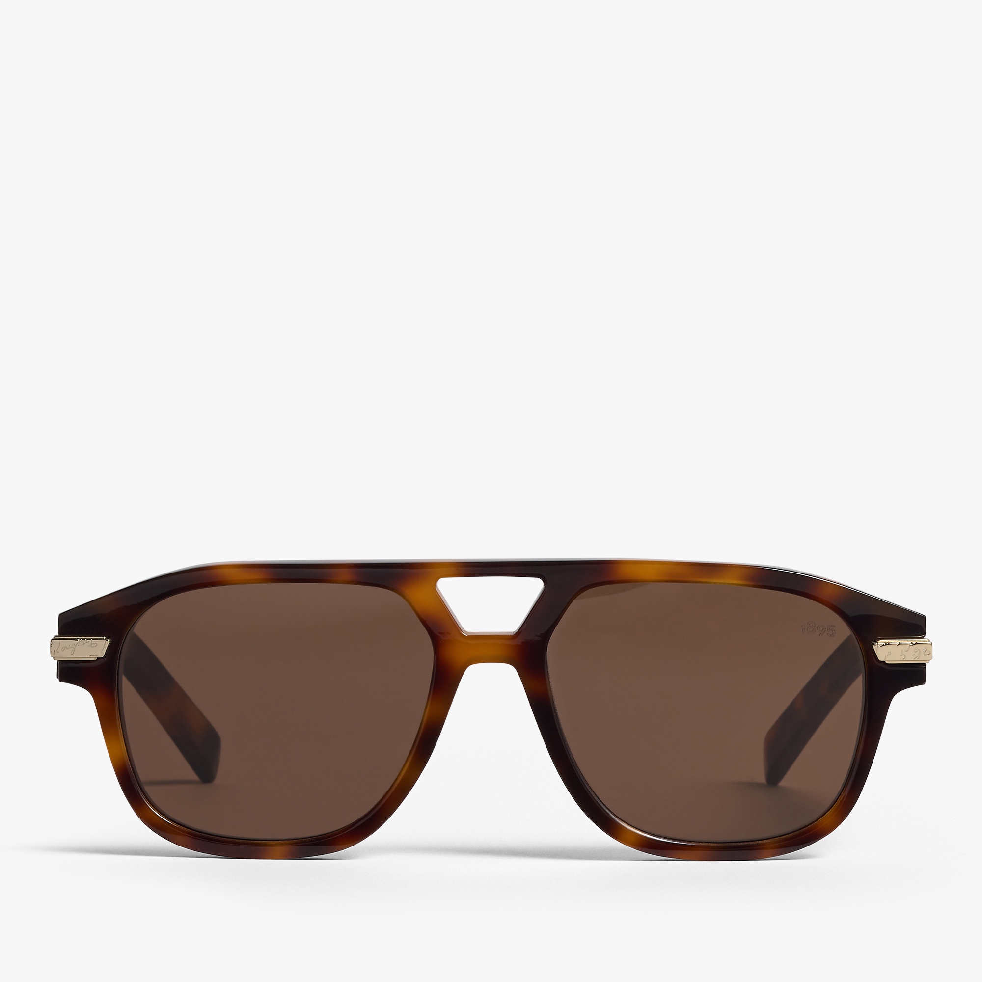 Flare Acetate Sunglasses, CLASSIC HAVANA + SOLID BROWN, hi-res